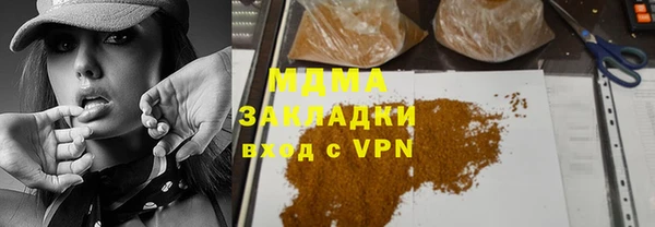 ГАЛЛЮЦИНОГЕННЫЕ ГРИБЫ Ельня
