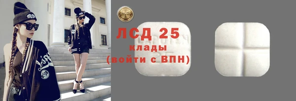 ГАЛЛЮЦИНОГЕННЫЕ ГРИБЫ Ельня