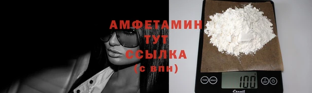 ГАЛЛЮЦИНОГЕННЫЕ ГРИБЫ Ельня