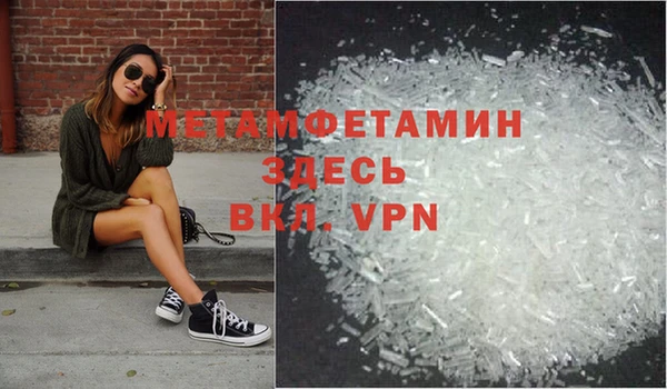 ГАЛЛЮЦИНОГЕННЫЕ ГРИБЫ Ельня