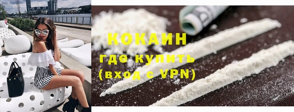 ГАЛЛЮЦИНОГЕННЫЕ ГРИБЫ Ельня