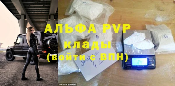 ГАЛЛЮЦИНОГЕННЫЕ ГРИБЫ Ельня